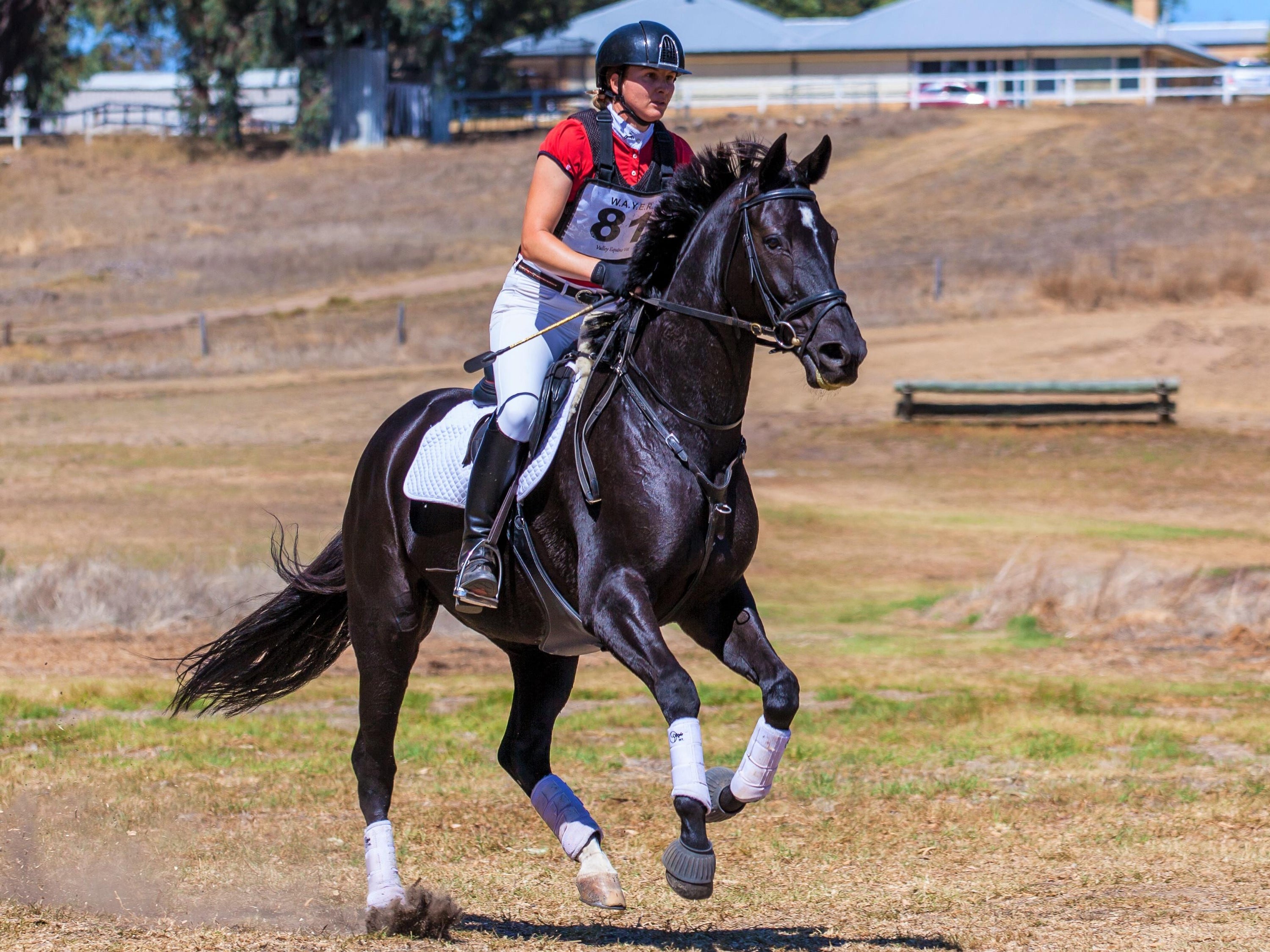 Inspiring Women: Eventer Laurelle Hayes