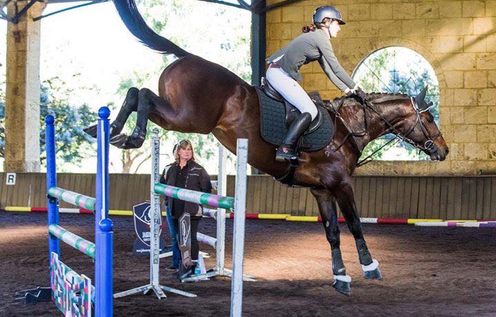 Choosing the Right Show Jumping Boots