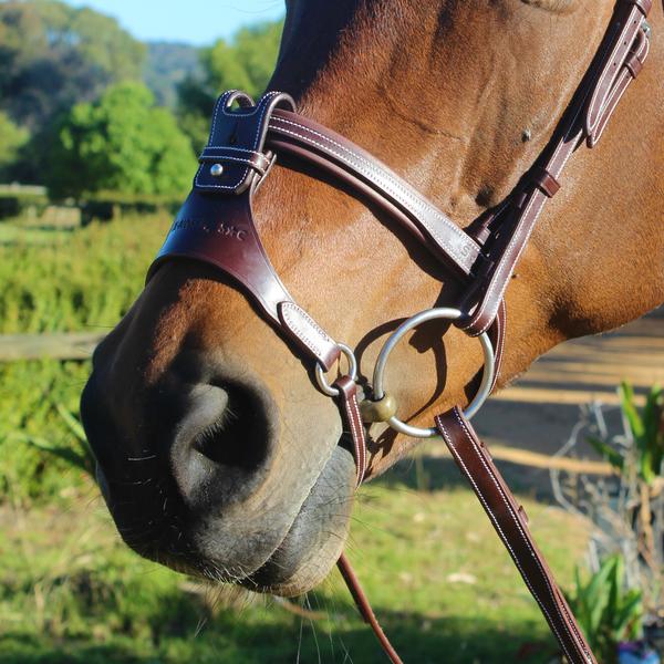 Introducing Silver Crown