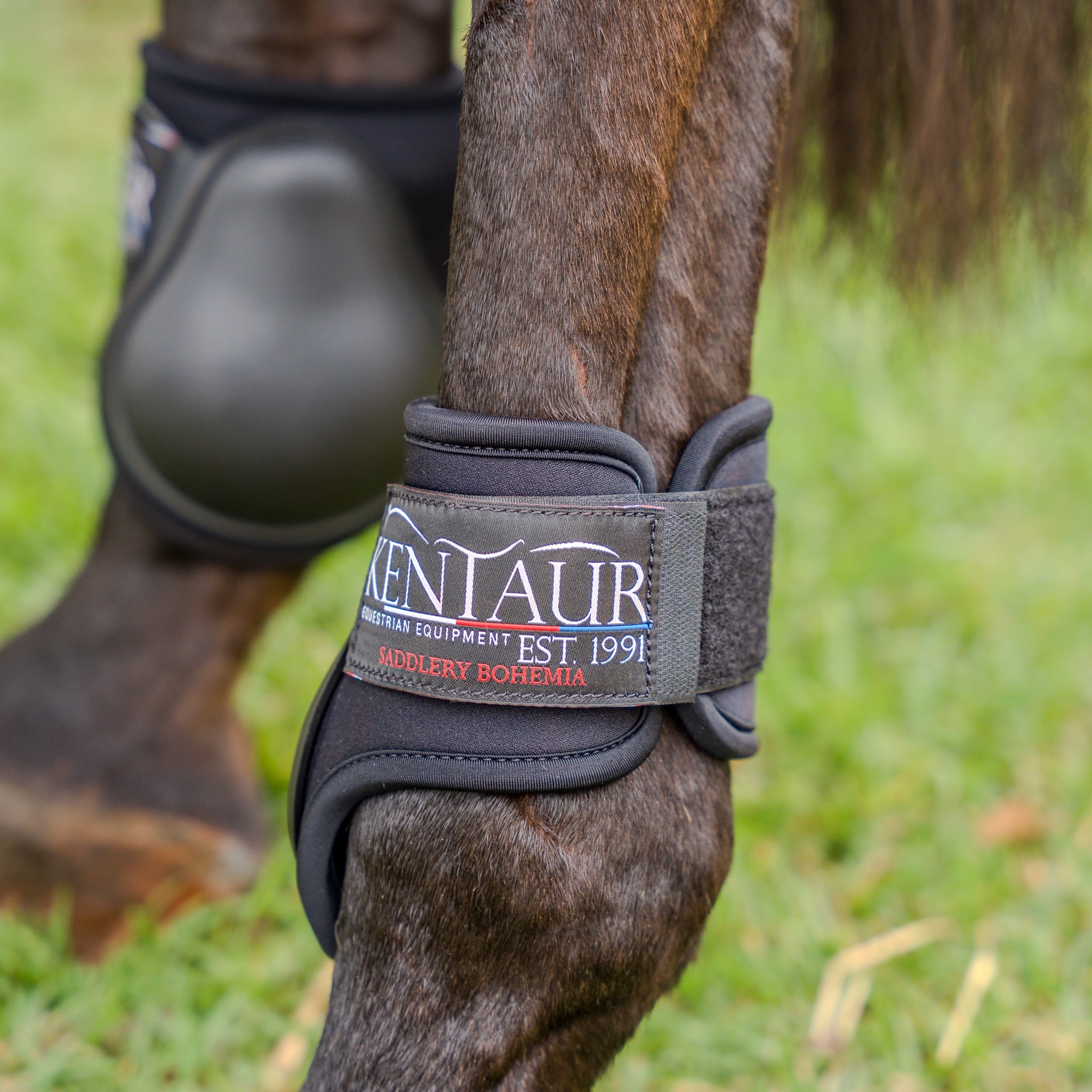 Kentaur ‘Pro Carbon’ Fetlock Boots