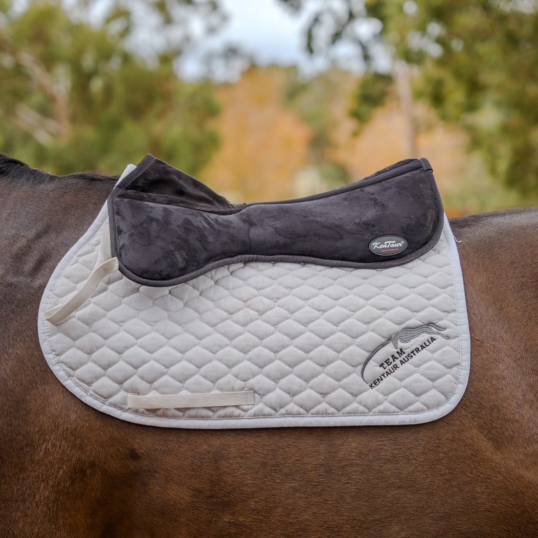 Kentaur Memory Foam Half Pad With Wither Cut Out