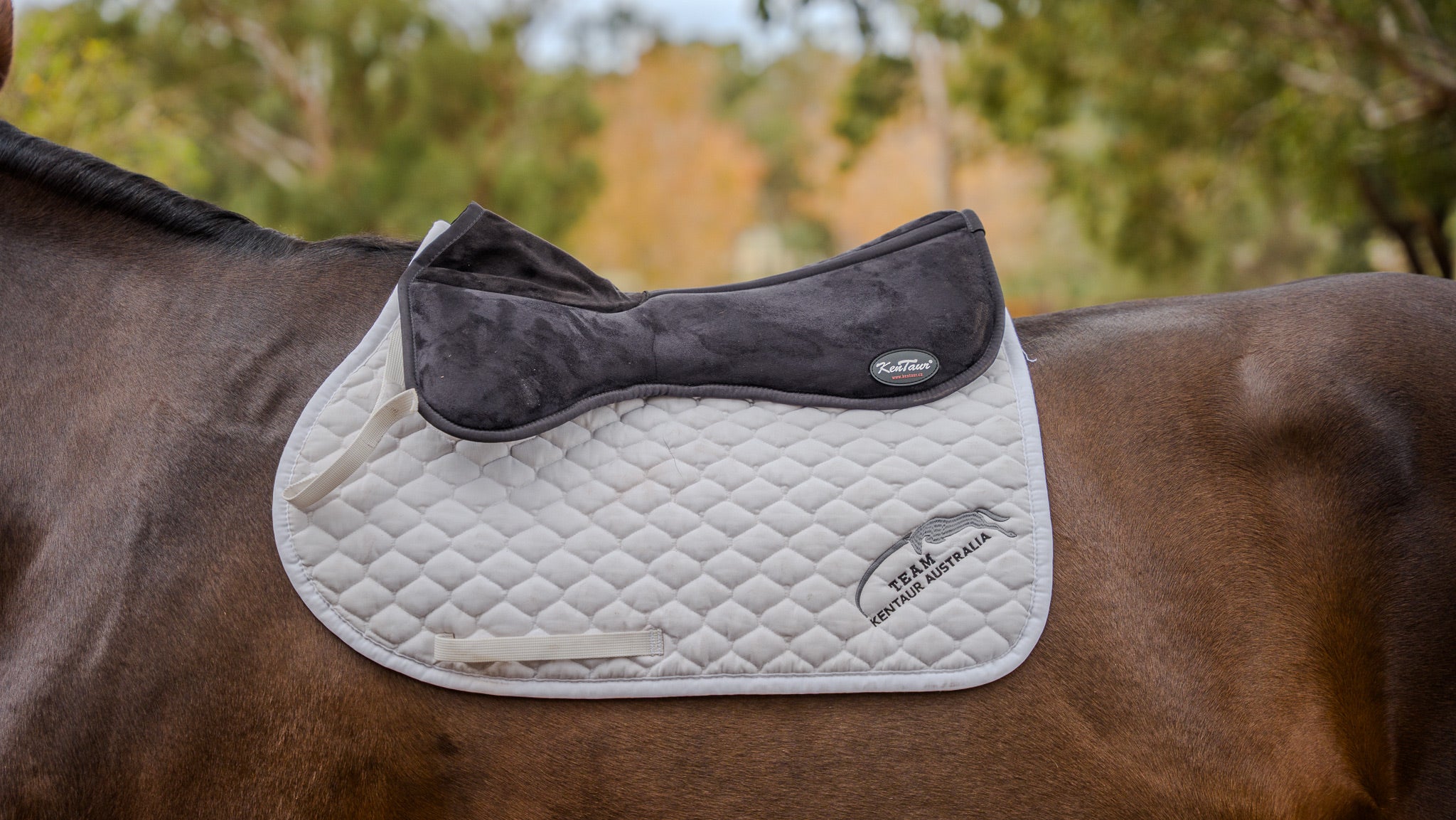 Kentaur Memory Foam Half Pad With Wither Cut Out