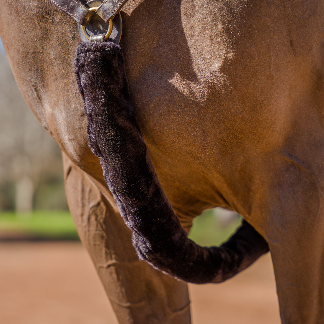 Kentaur Sheepskin breastplate covers