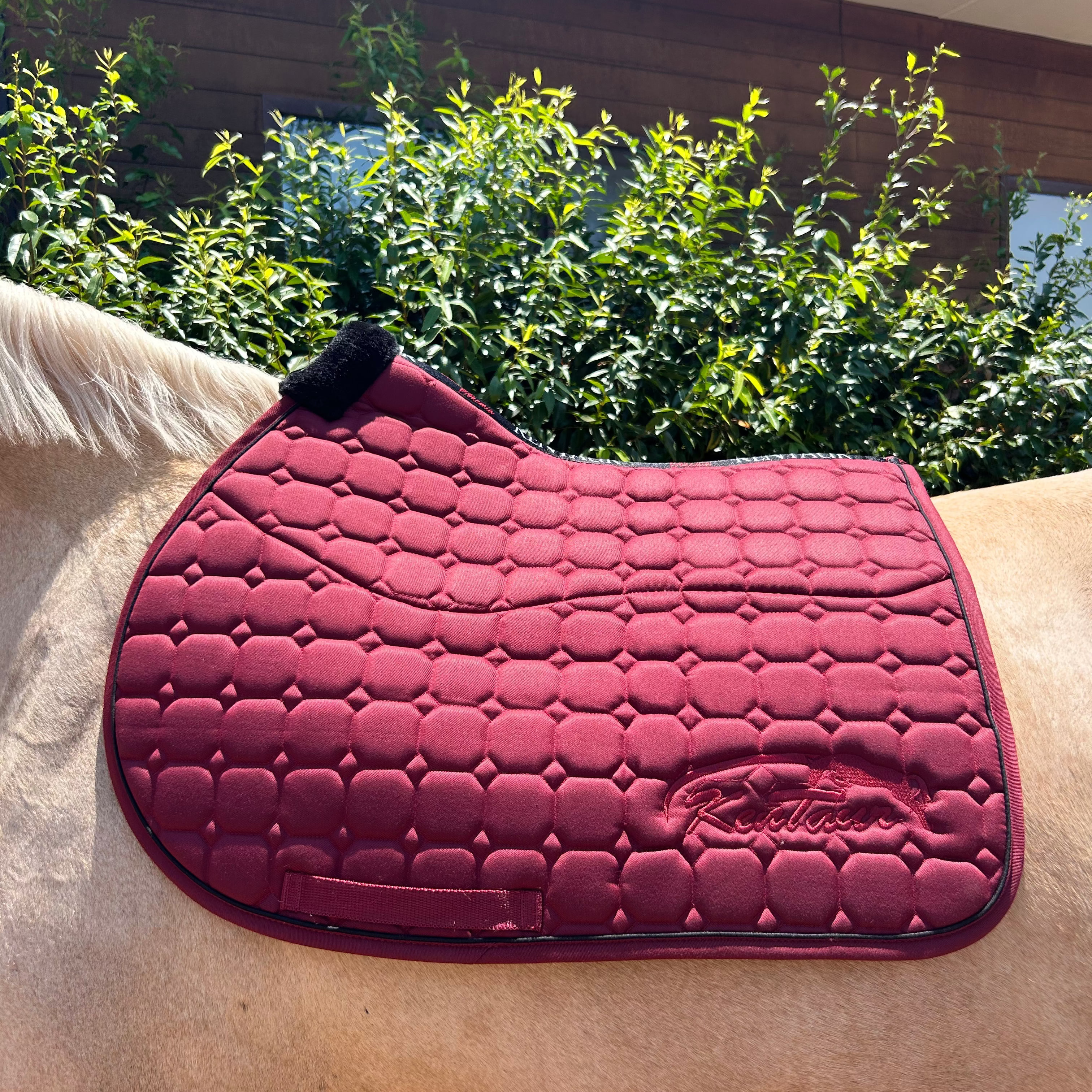 Kentaur Sheepskin Lined Saddle Pad