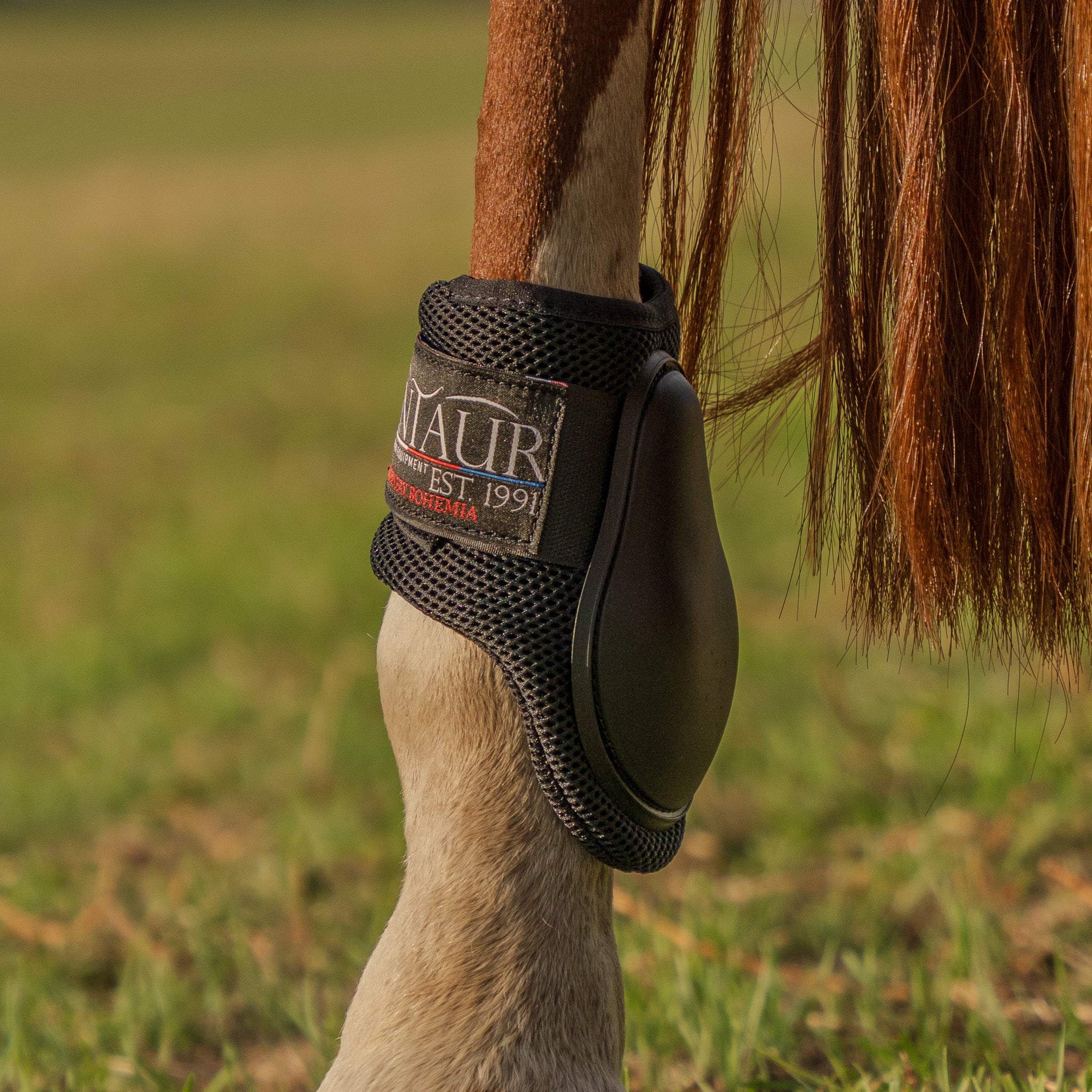 Kentaur ‘Profi Air’ Hind Jumping Boots