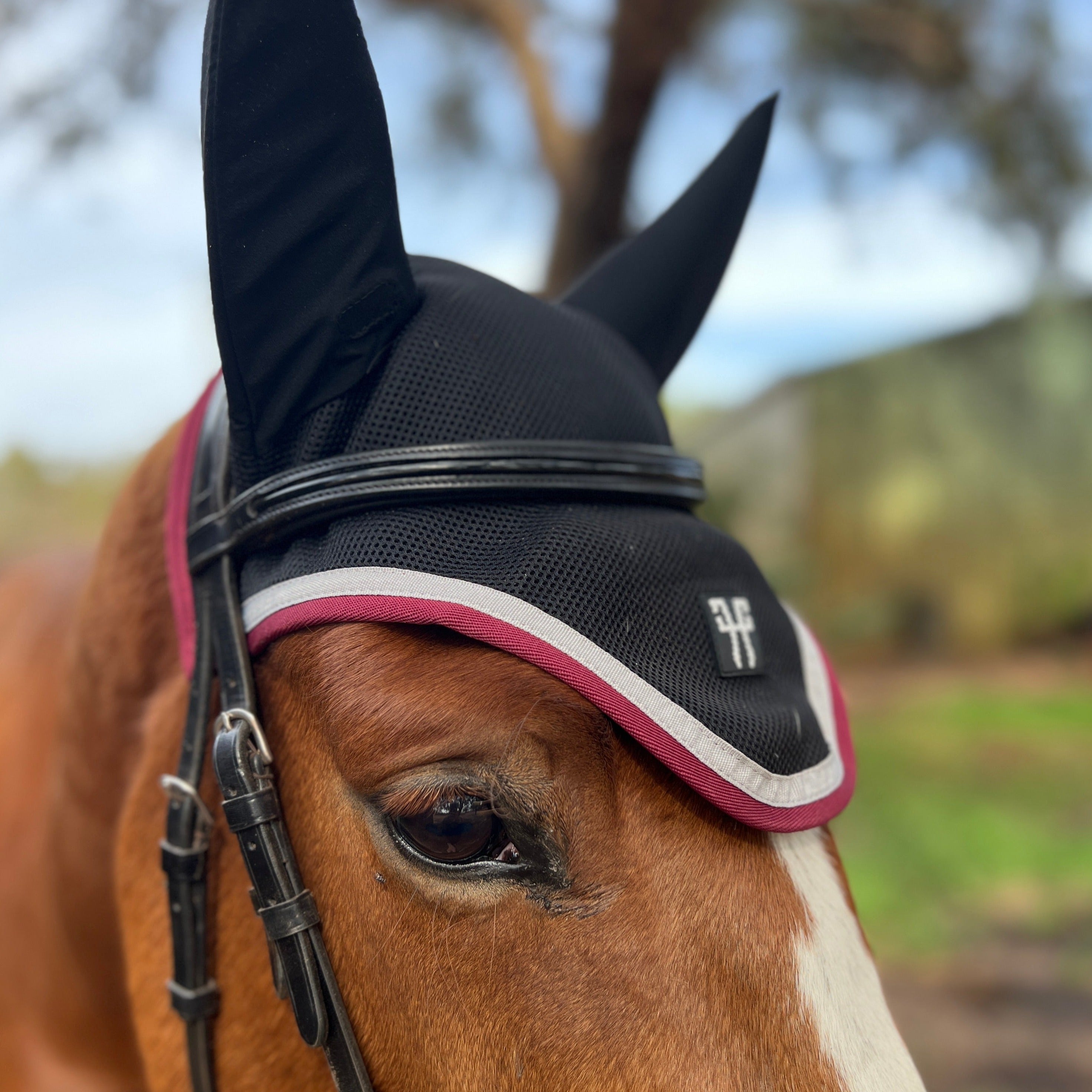 Horse Pilot Earnet