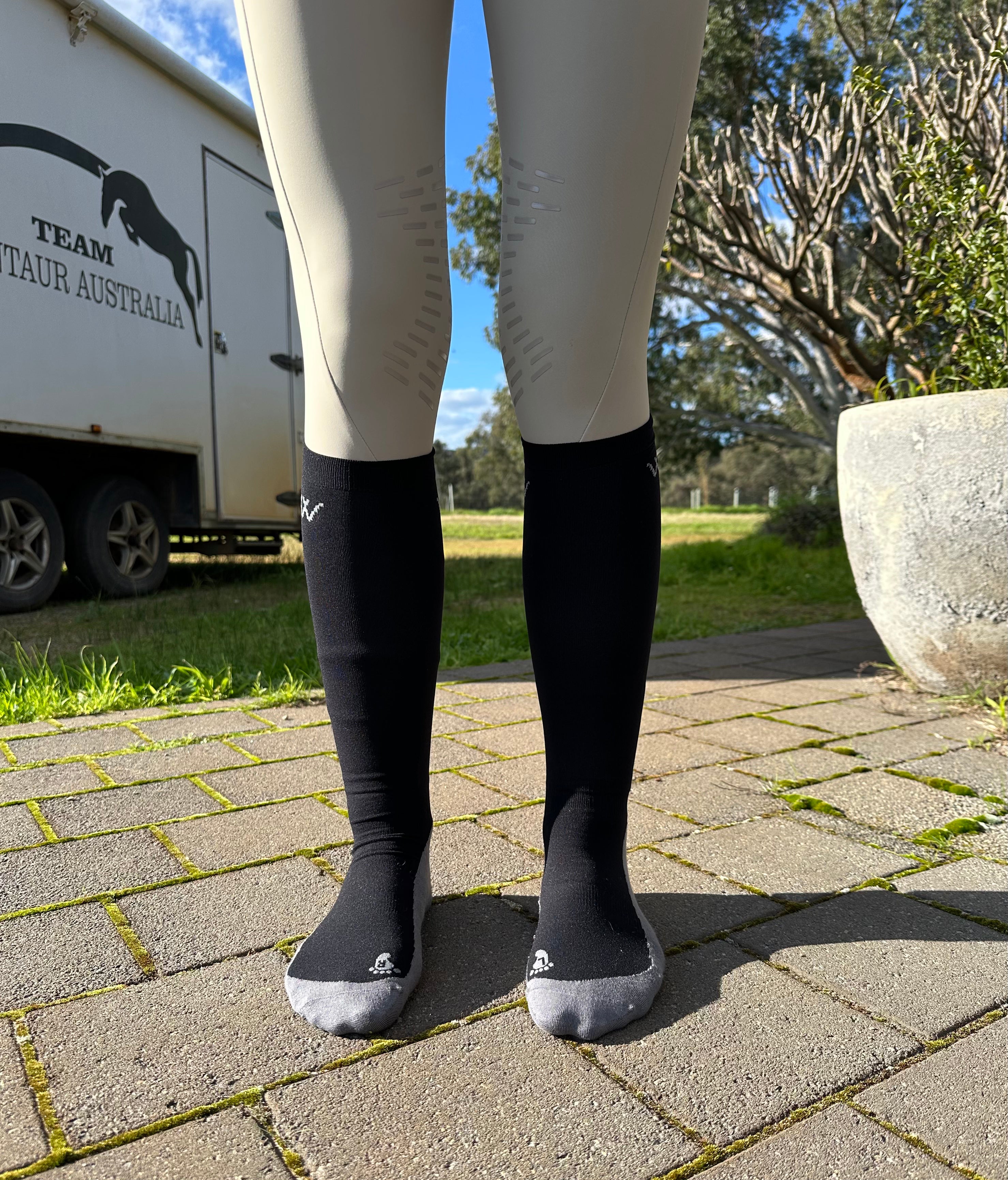 Woof Wear Competition Socks