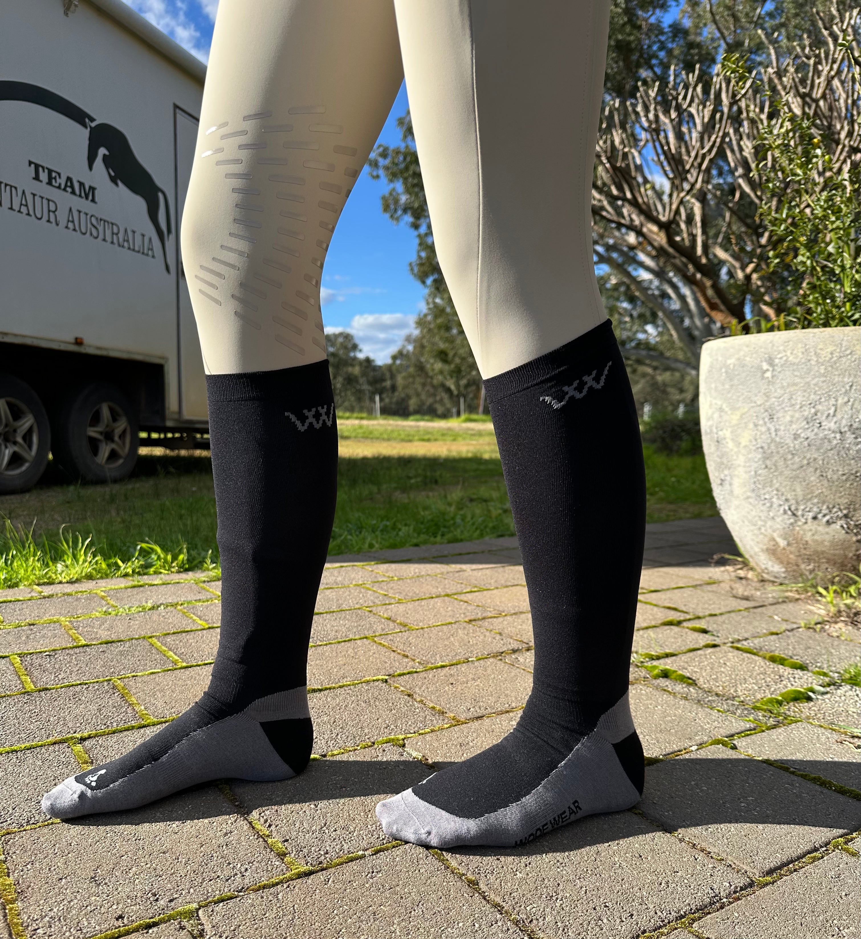 Woof Wear Competition Socks