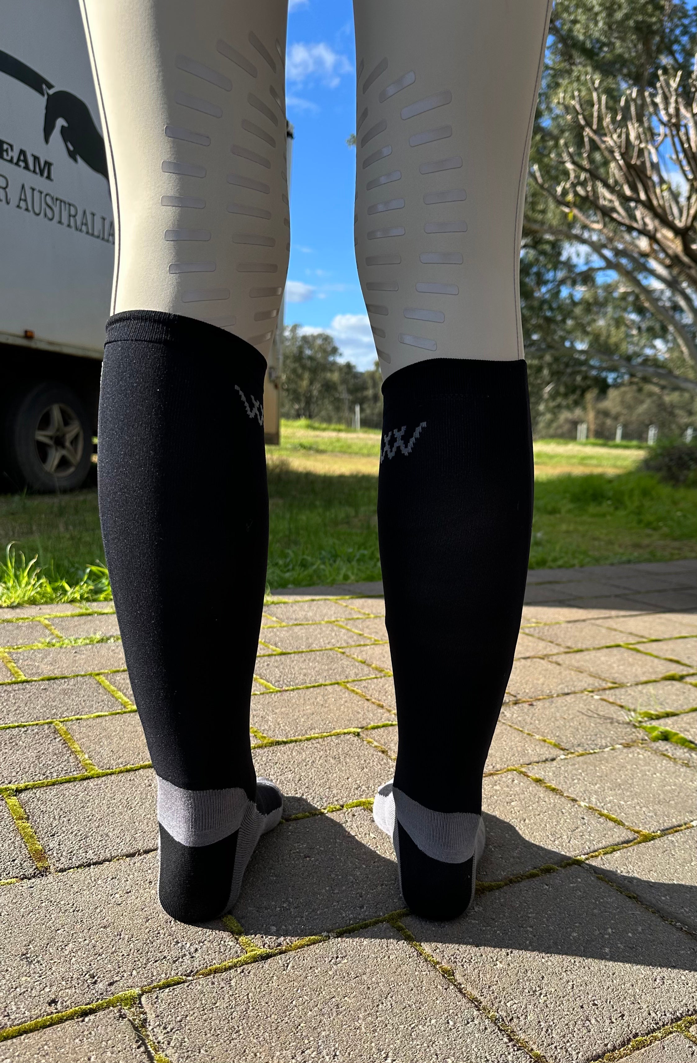 Woof Wear Competition Socks