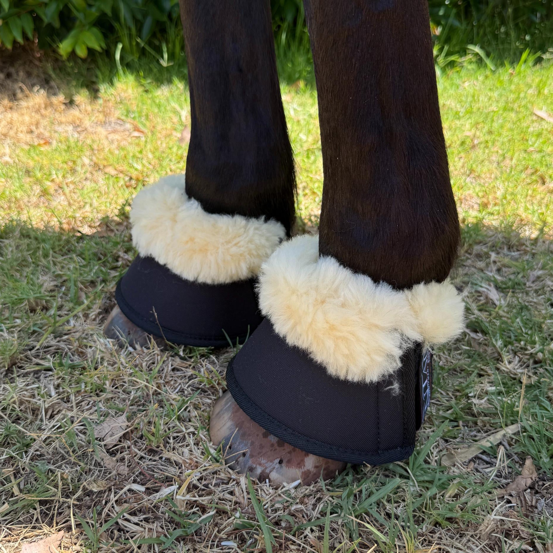 Kentaur Neoprene Bell Boots With Genuine Sheepskin