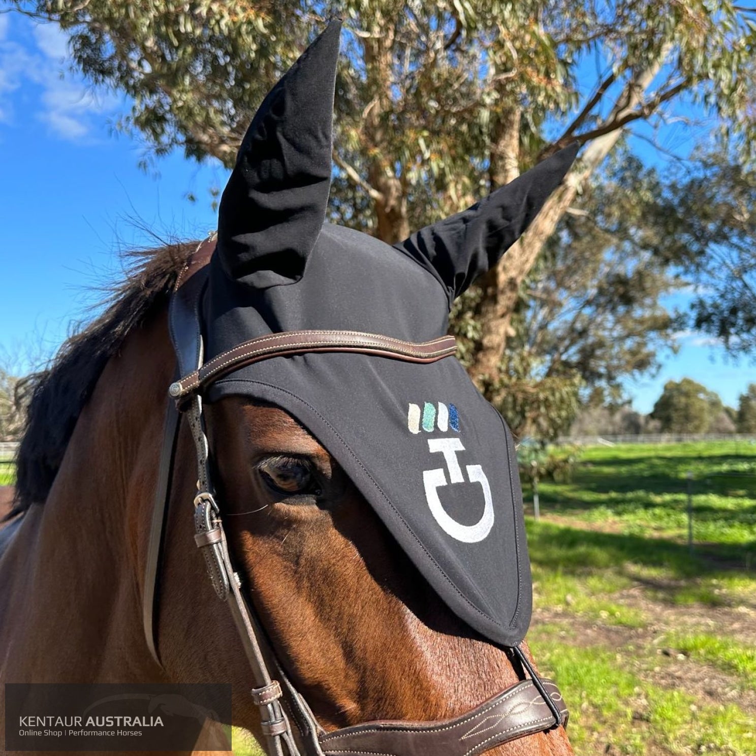 Cavalleria Toscana ’CT Dash’ Attatchable Earnet Black (9999) / Full Ears