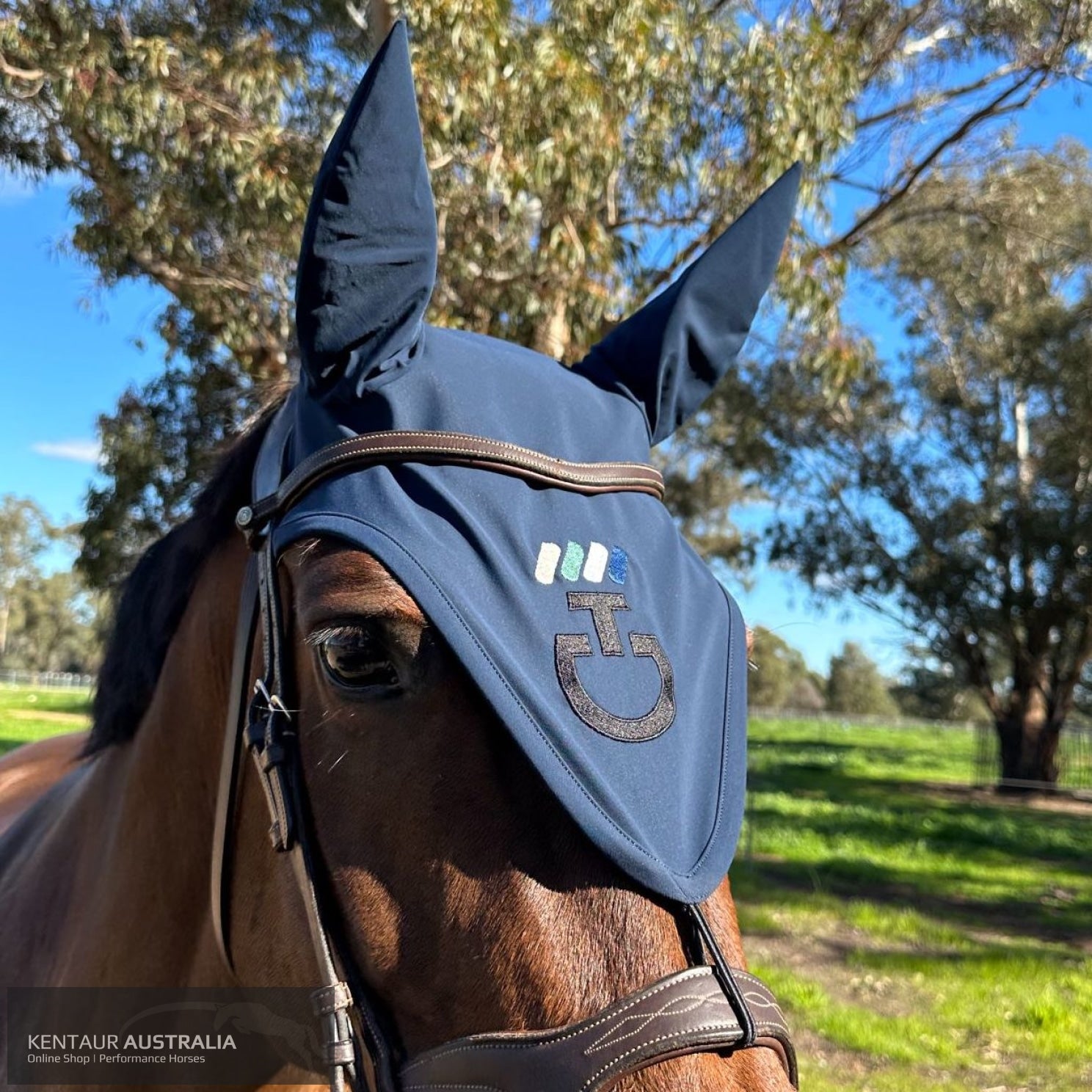 Cavalleria Toscana ’CT Dash’ Attatchable Earnet Bright Navy (7B00) / Full Ears