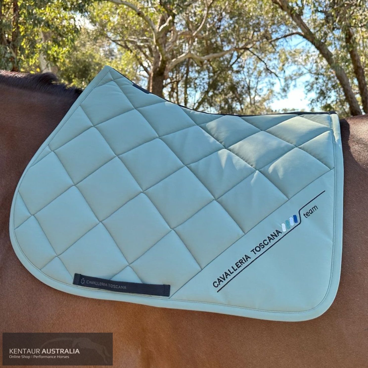 Cavalleria Toscana ’CT Dash’ Jumping Saddle Pad Emerald Grey (5J00) / Full Saddle Pad