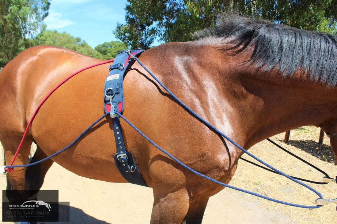 John Whitaker Training System Training Aids