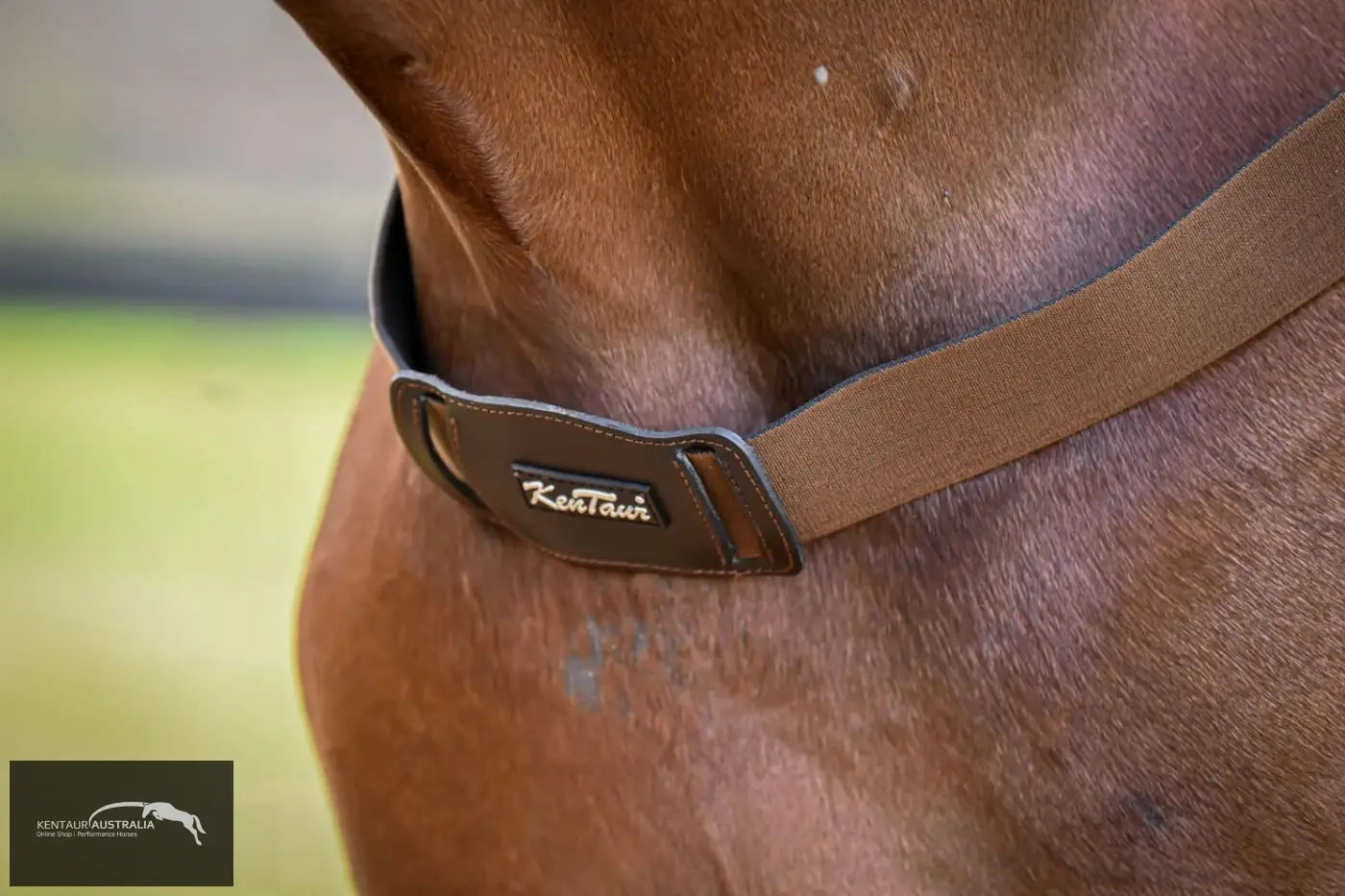 Kentaur ’Amsterdam’ Elastic Breastplate Breastplates