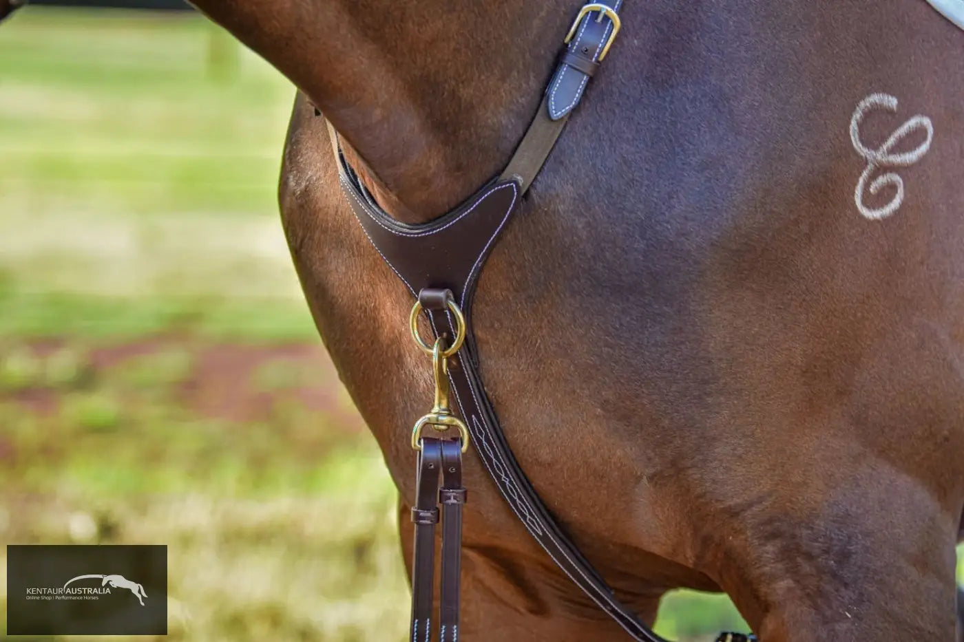 Kentaur ’Arras’ Breastplate Breastplates