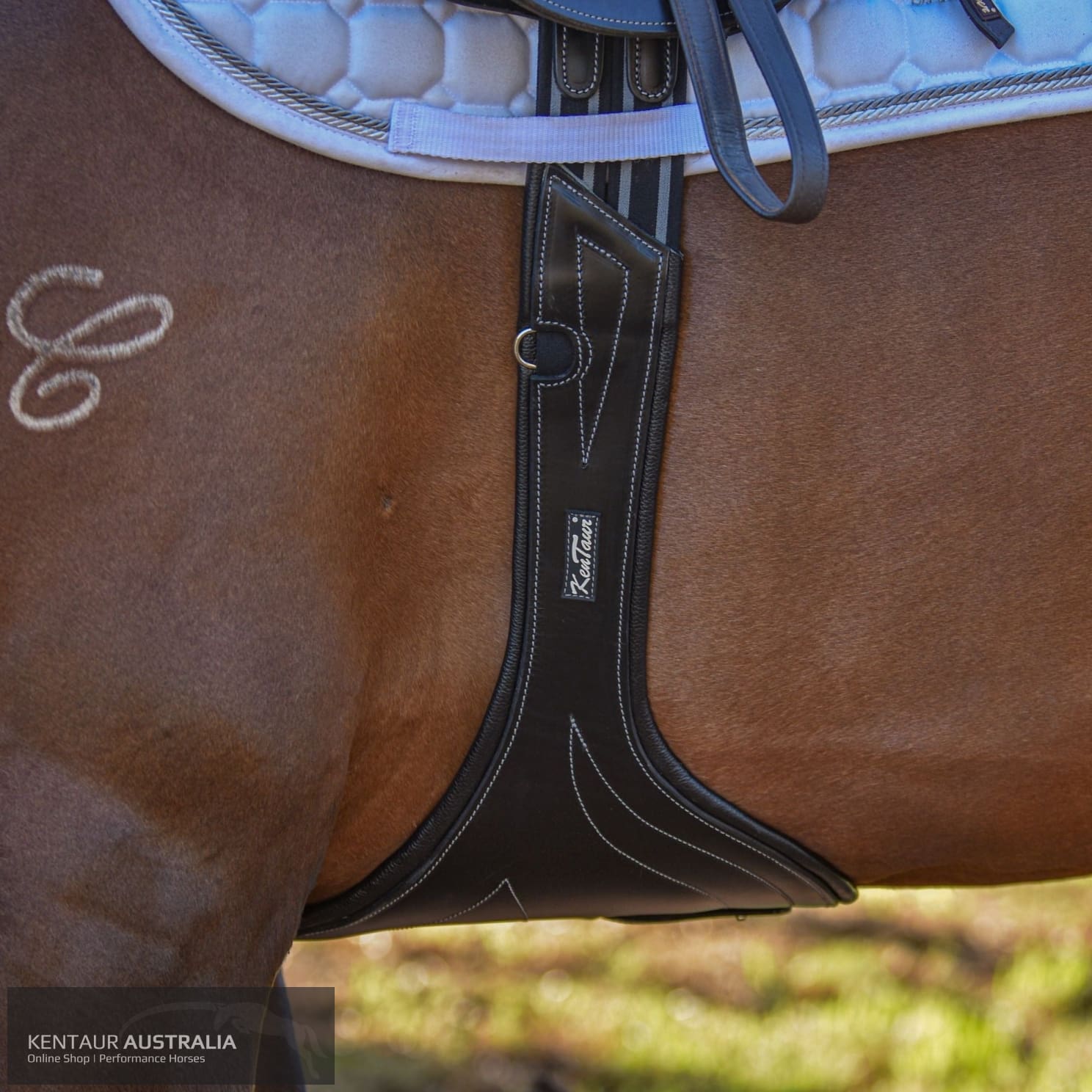 Kentaur ’Avignon’ Stud Girth Black / 150cm jumping girths