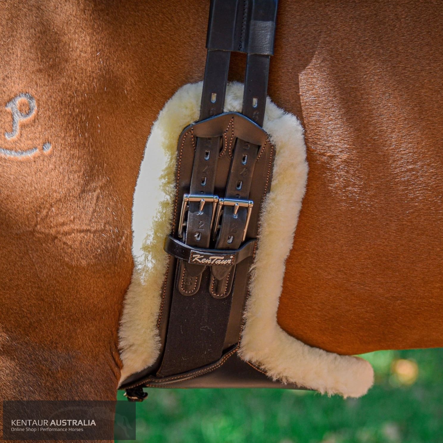 Kentaur ’Camarque’ Stud Girth with Sheepskin Black / 60cm jumping girths