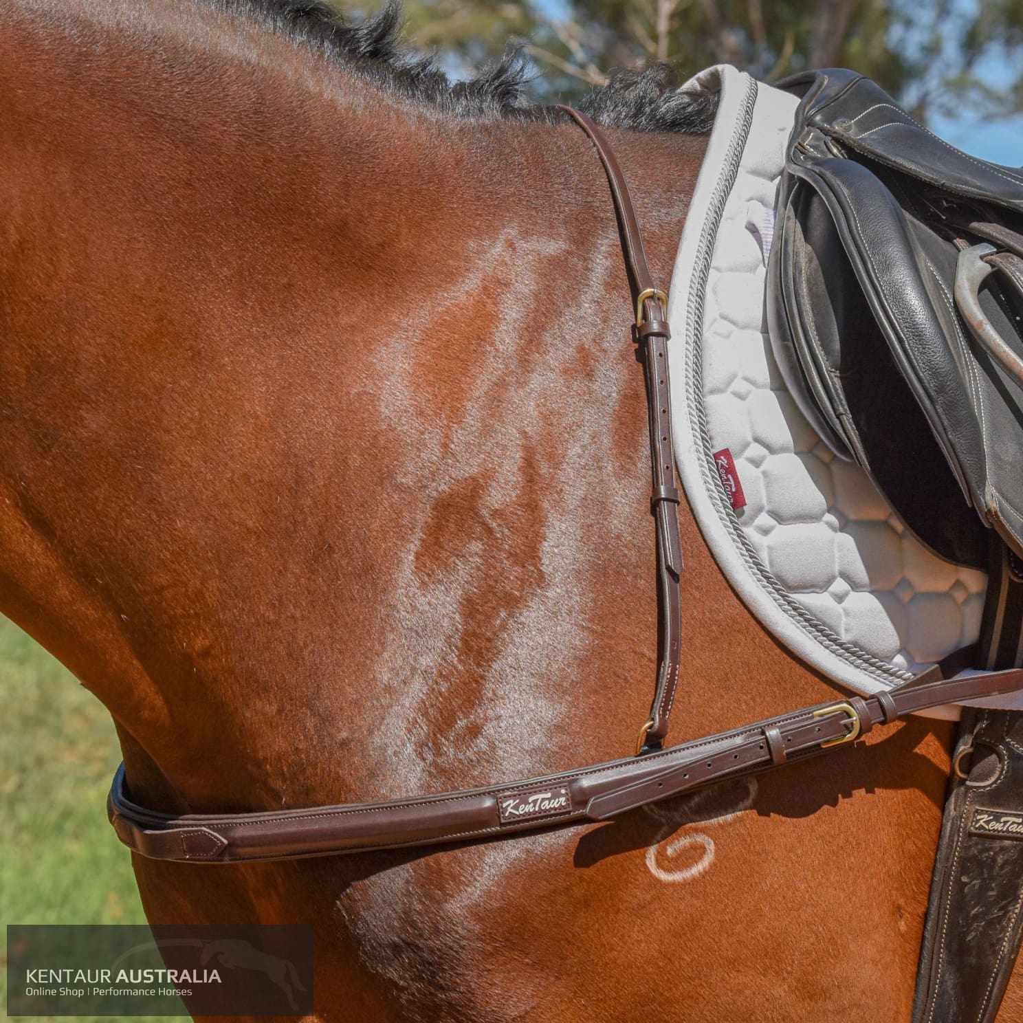 Kentaur ’Capri’ Breastplate Dark Brown / Cob Breastplates