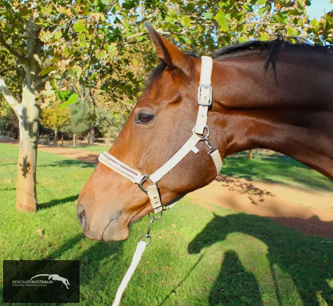 Kentaur ’Fleece’ Halter Full / Beige Halters & Flyveils