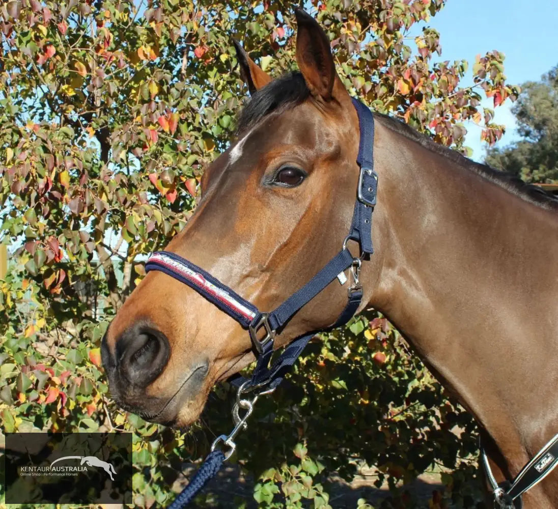 Kentaur ’Fleece’ Halter Full / Navy Halters & Flyveils