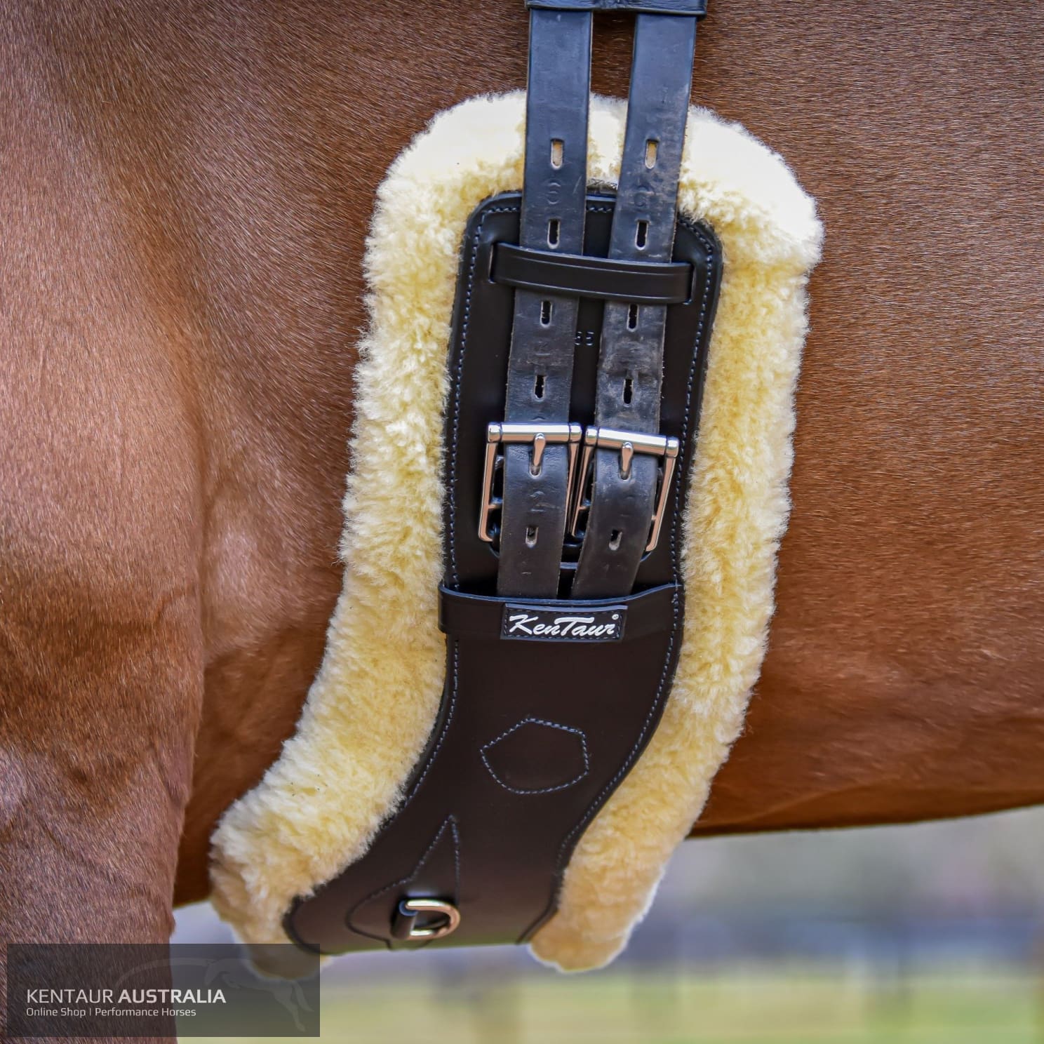 Kentaur ’Geneva’ Girth with Sheepskin Black / 40cm / YES Dressage Girth