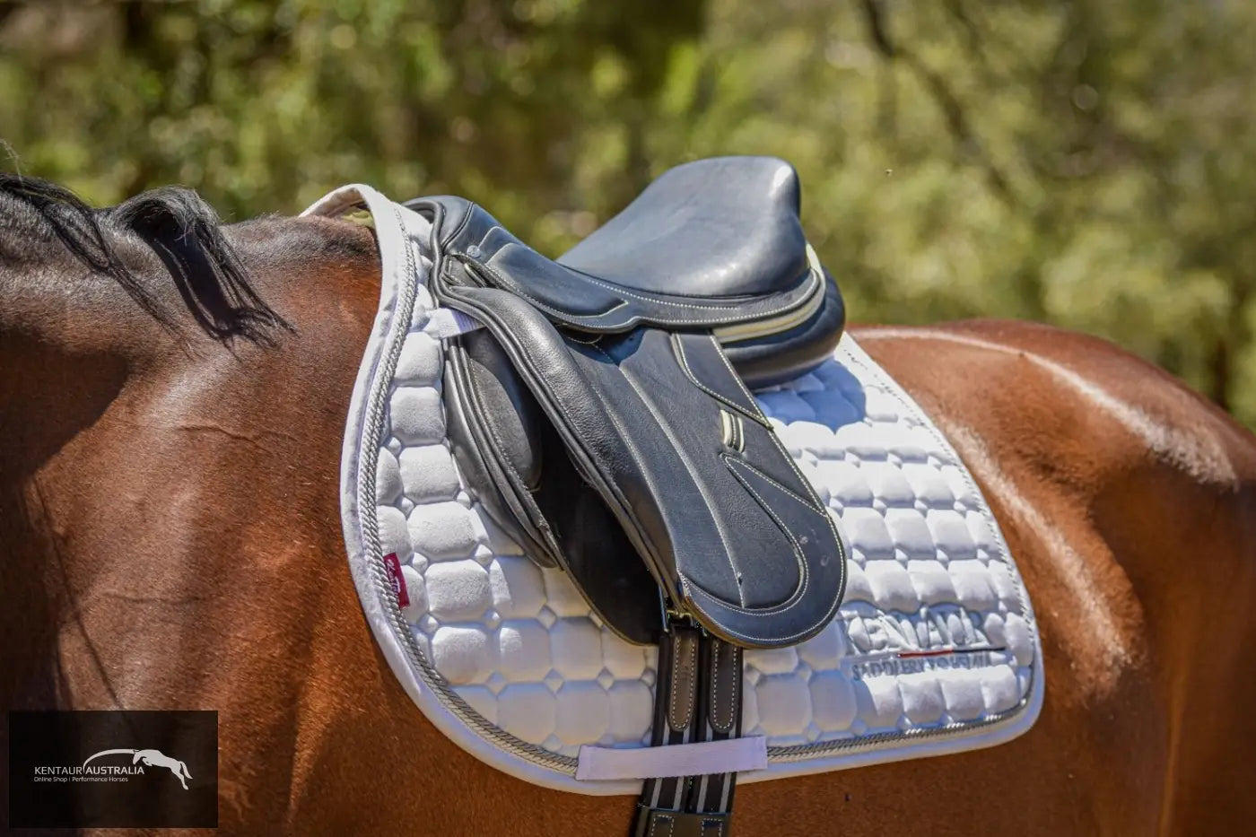 Kentaur ’Kronos’ Jumping Saddle Jumping Saddles