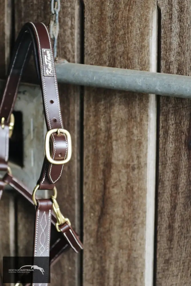 Kentaur Leather Halter With Stitching Halters & Flyveils