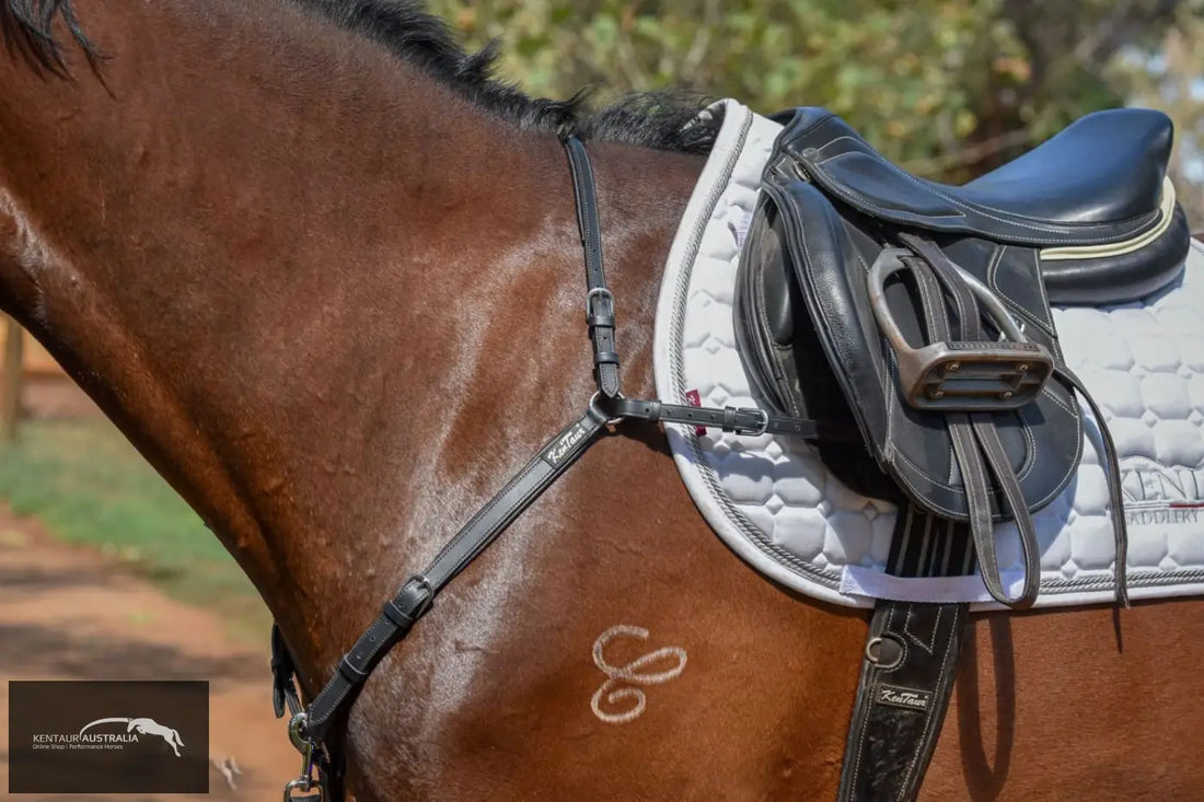 Kentaur ’Mons’ Breastplate Breastplates