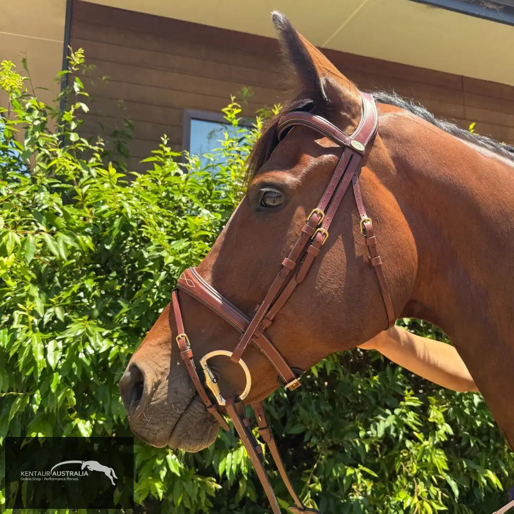 Kentaur ’Nashville’ Bridle - Tobacco / Full - Bridles