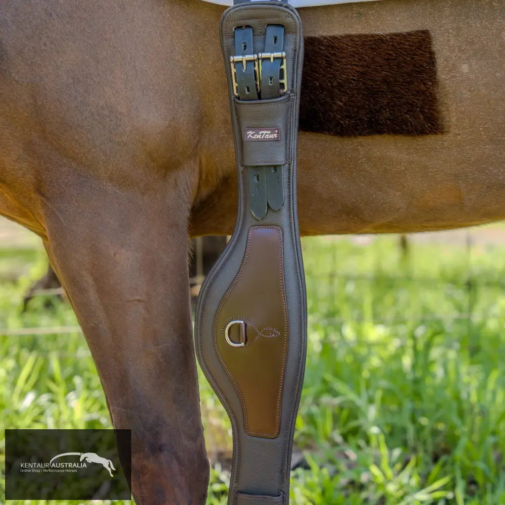 Kentaur Padova Extra Soft Dressage Girth - an anatomically shaped leather dressage girth with the softest padding, ideal for sensitive horses.