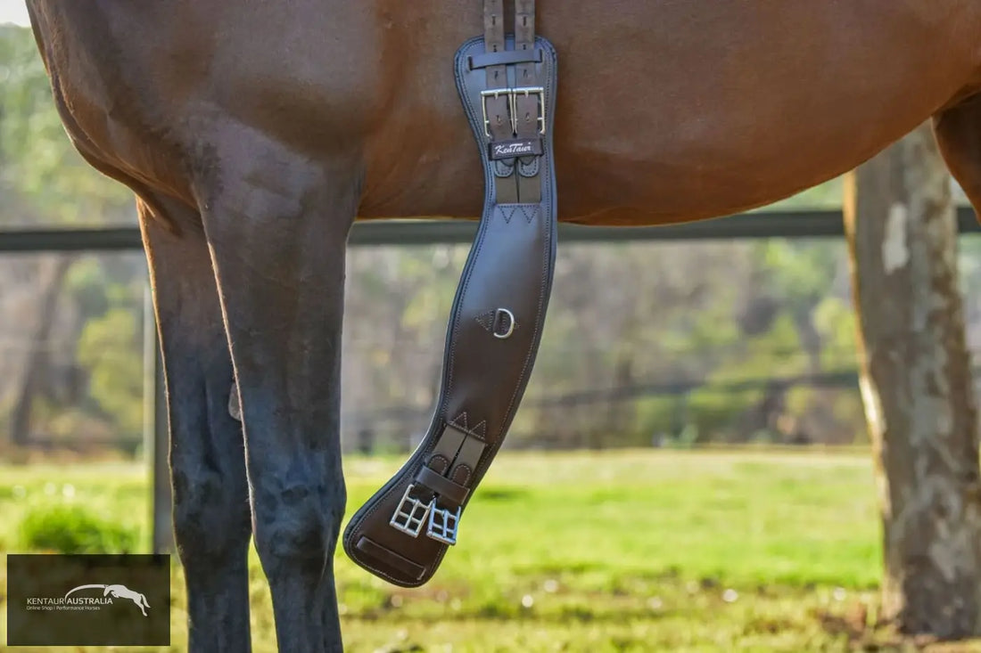 Kentaur ‘Parma’ Dressage Girth Dressage Girth