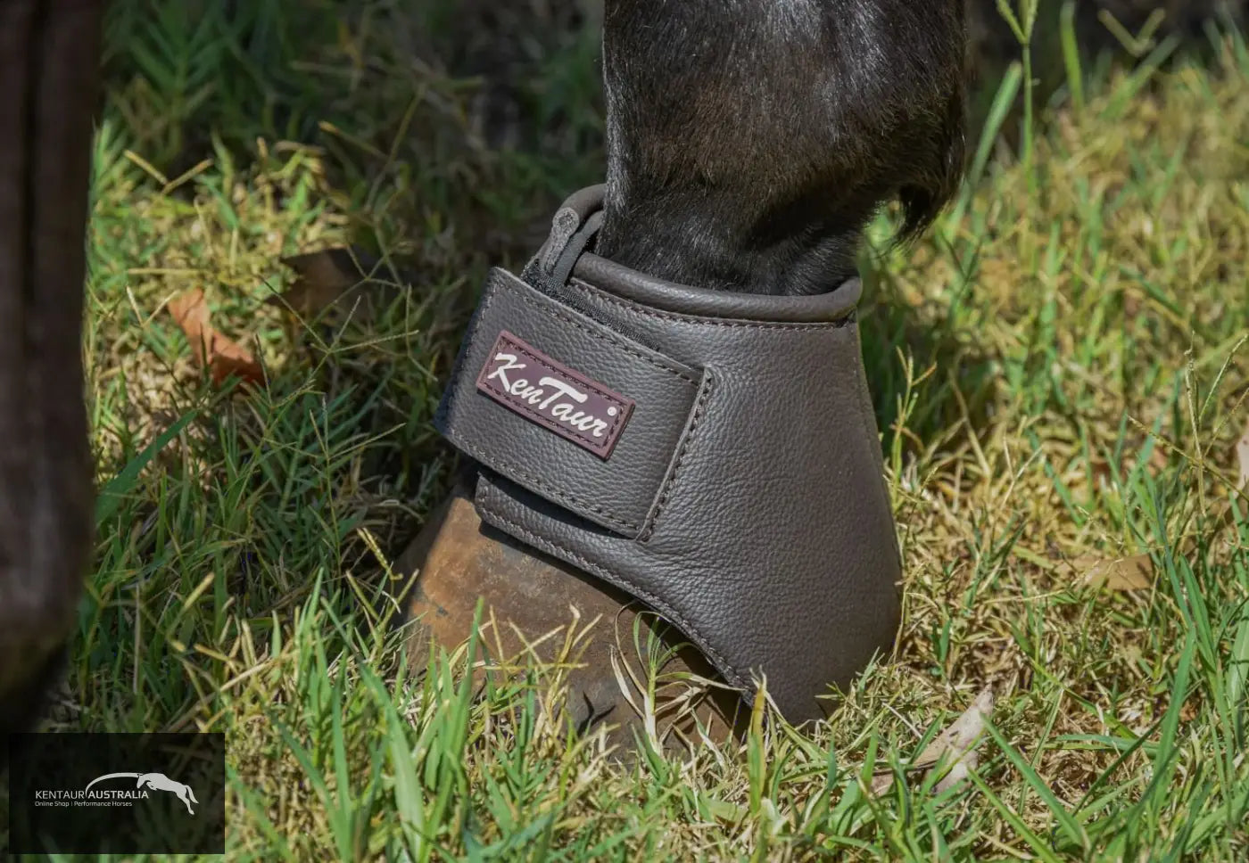Kentaur ’Premium Anatomic’ Leather Bell Boots Bell Boots