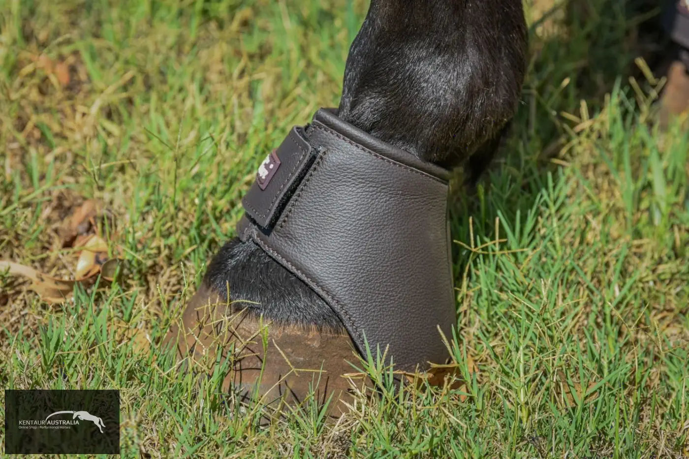 Kentaur ’Premium Anatomic’ Leather Bell Boots Bell Boots