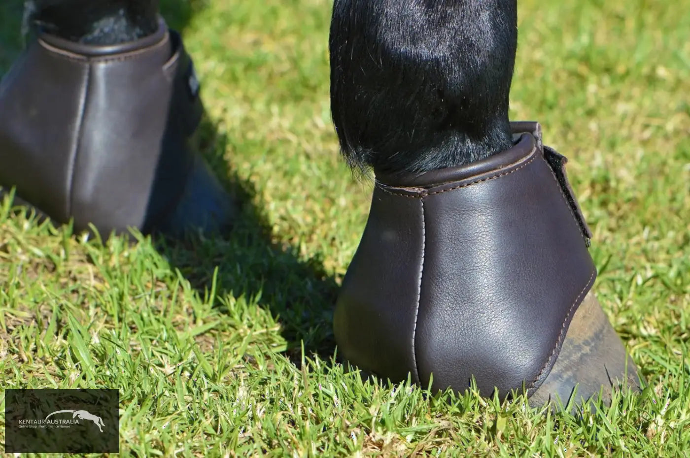 Kentaur &