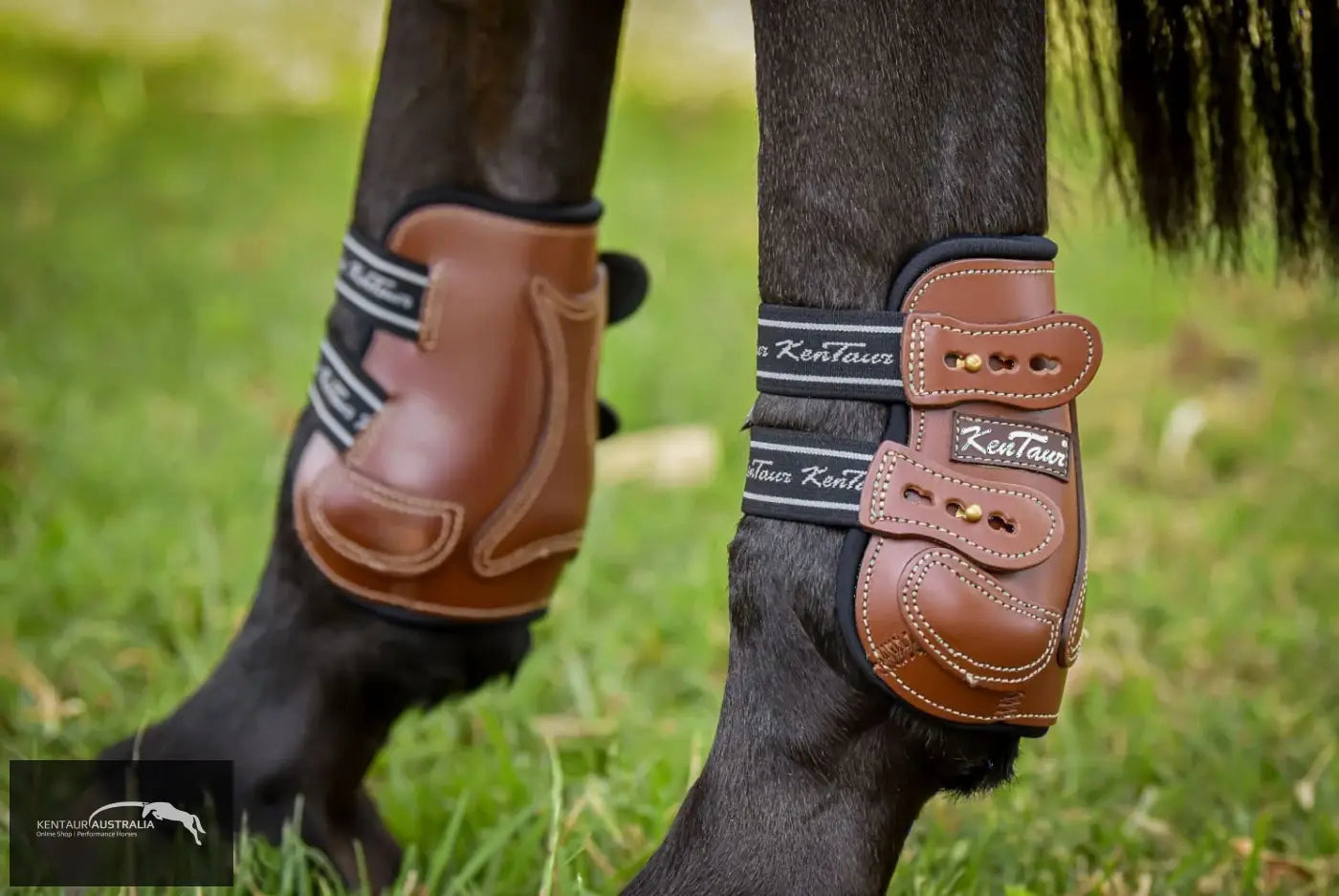 Kentaur ’Roma Flicker’ Hind Boots Training Jumping Boots