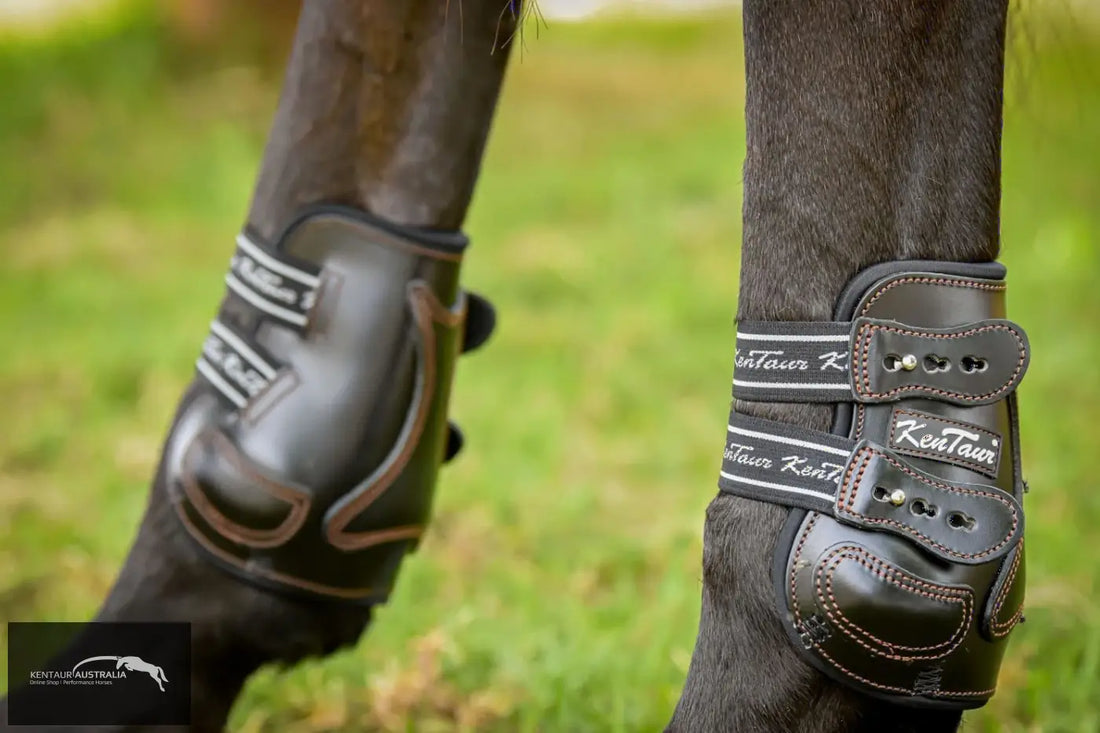 Kentaur ’Roma Flicker’ Hind Boots Training Jumping Boots
