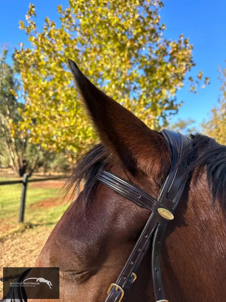 Kentaur ’Savannah’ Bridle Bridles