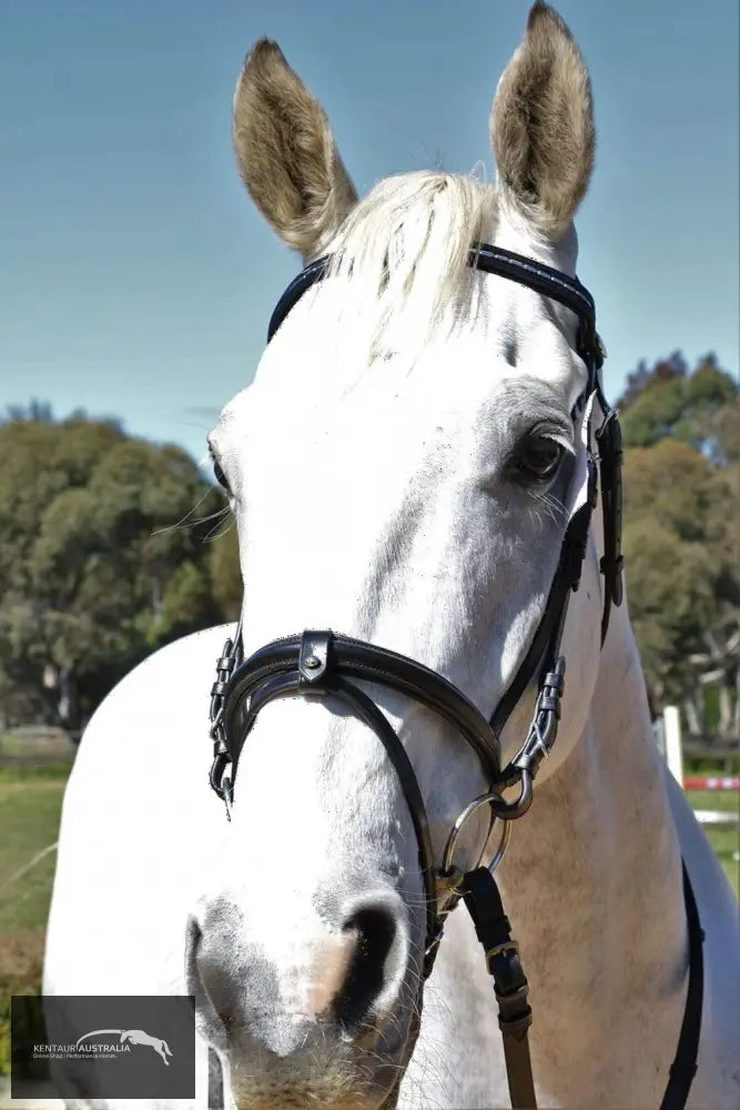 Kentaur Hanoverian Bridle With Decorative Browband And Removable Flash Bridles