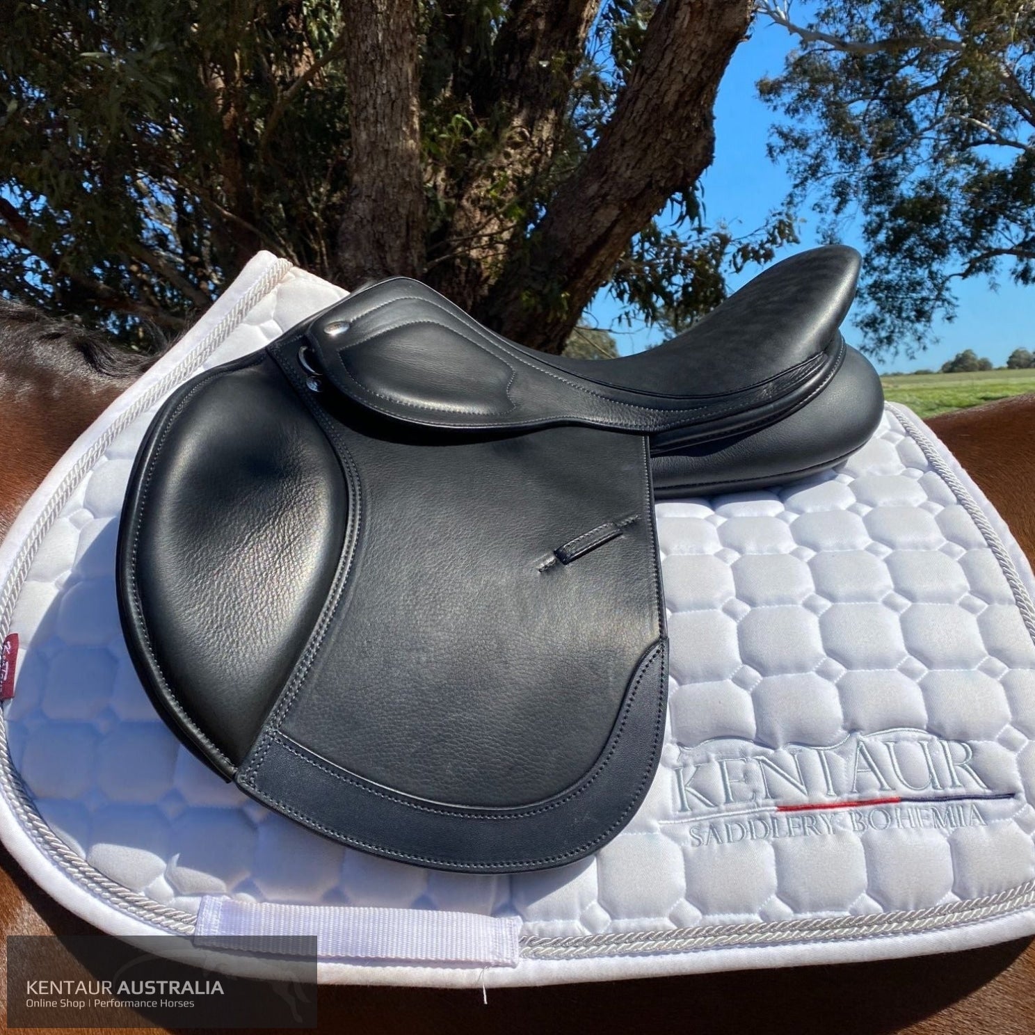 Kentaur ’Titan Junior’ Kids Jumping Saddle Jumping Saddles