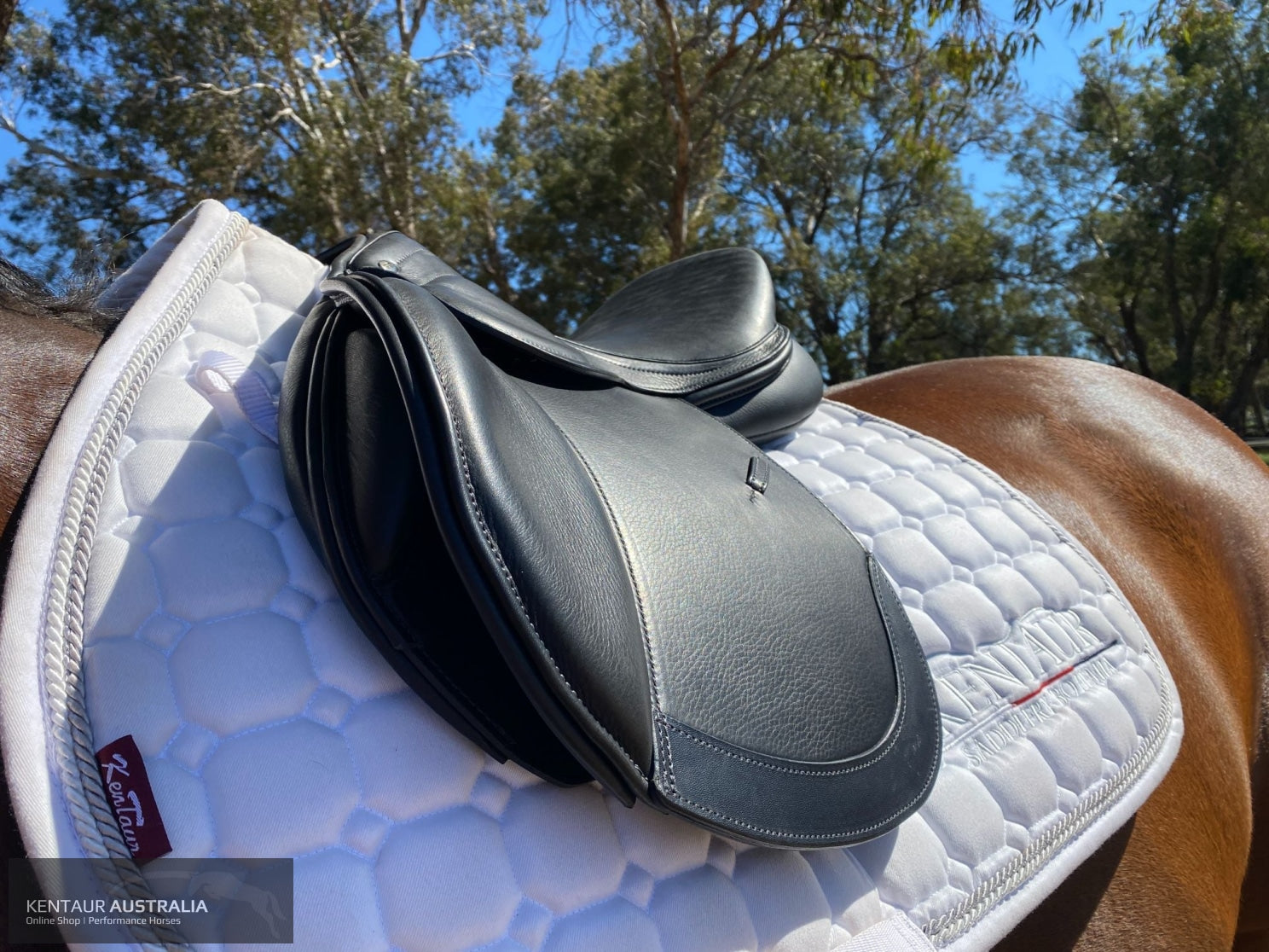 Kentaur ’Titan Junior’ Kids Jumping Saddle Jumping Saddles