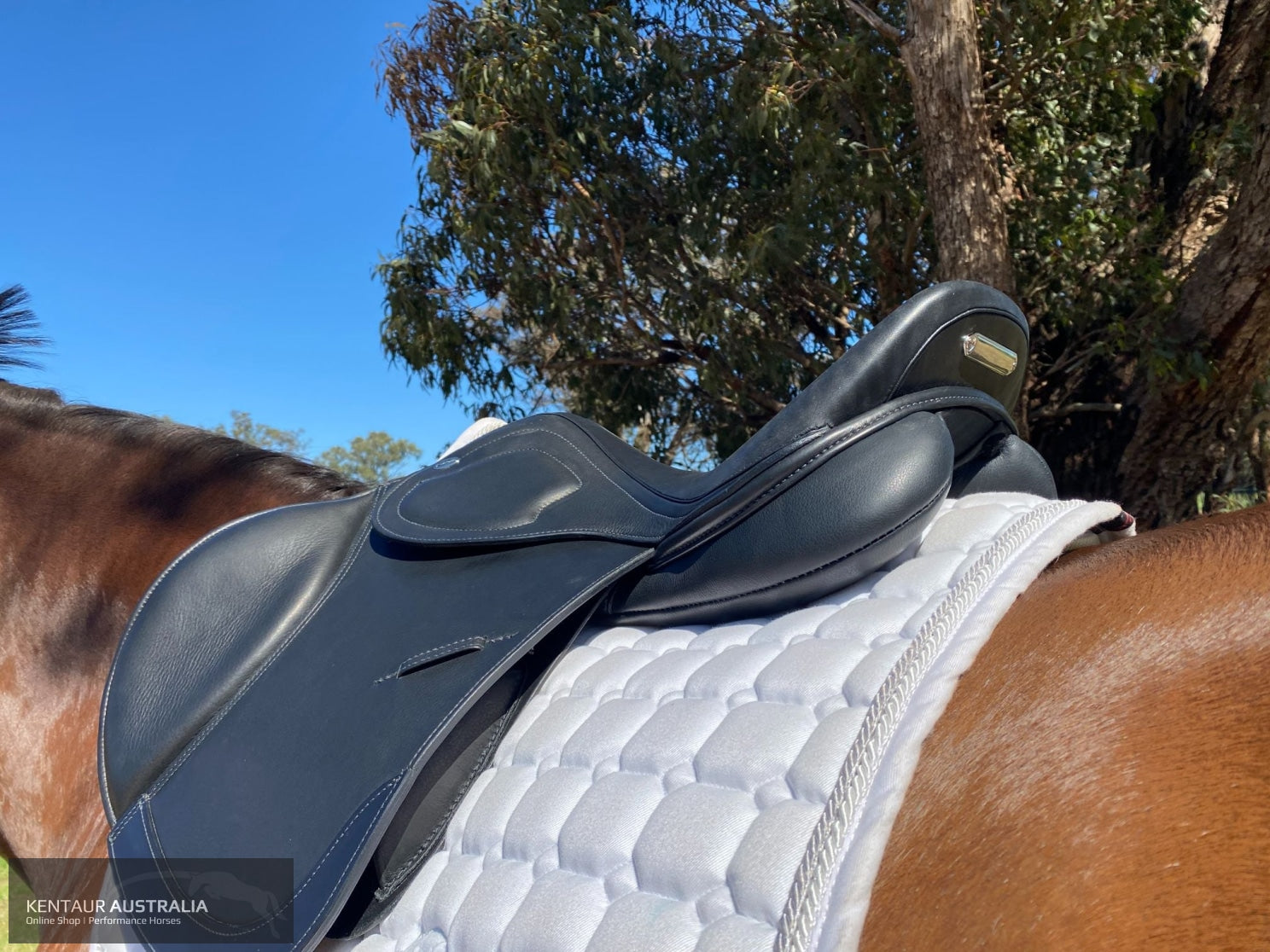 Kentaur ’Titan Junior’ Kids Jumping Saddle Jumping Saddles