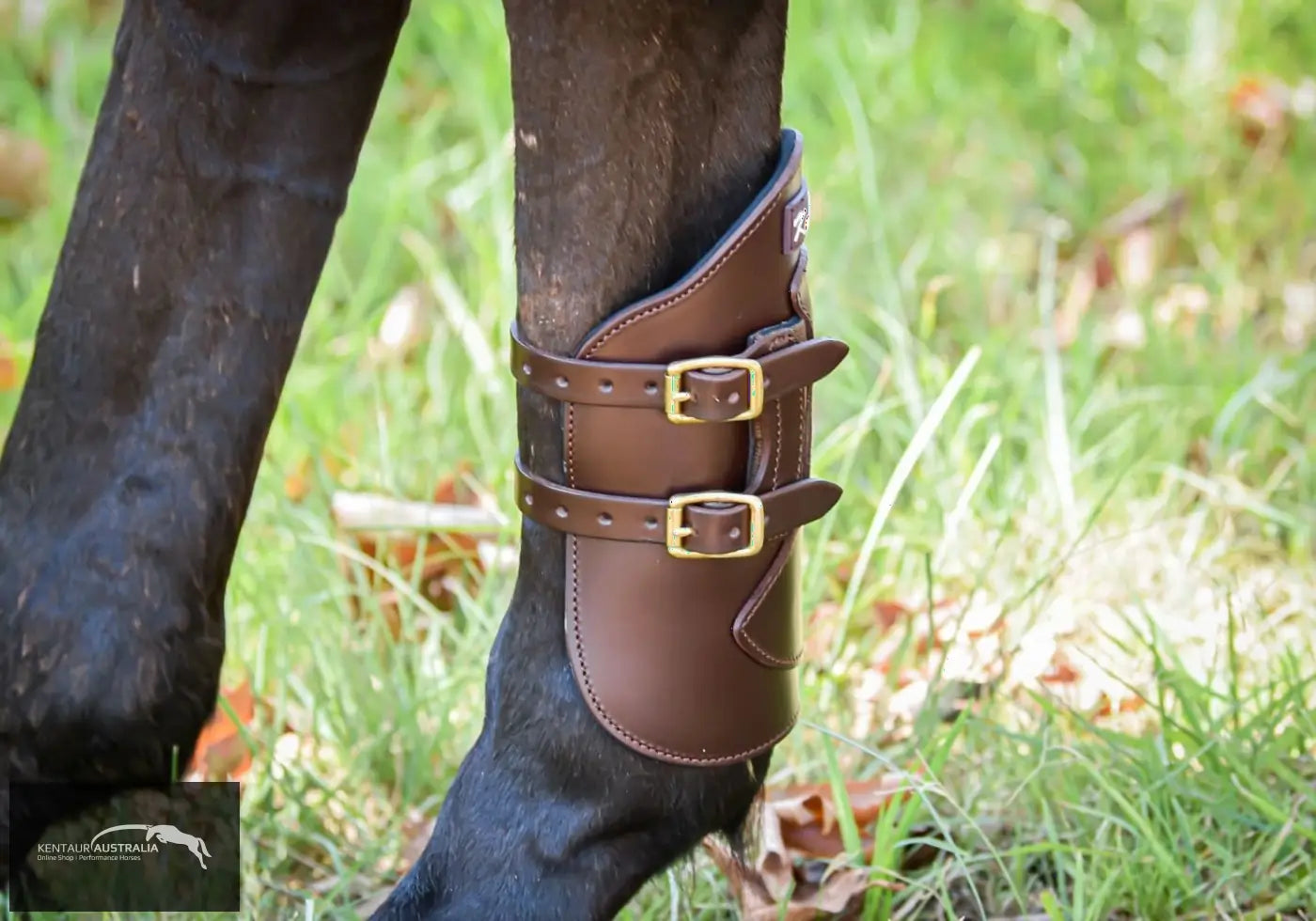 Kentaur Weighted Hind Boots Brown / Full Training Jumping Boots