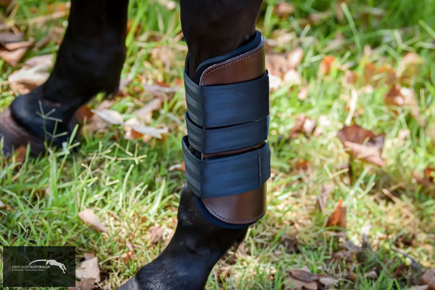 Kentaur Weighted Training Front Boots Training Jumping Boots