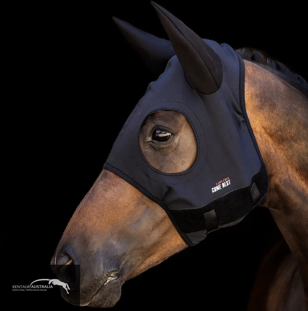Lami - Cell Titanium Hood With Ears - Ears