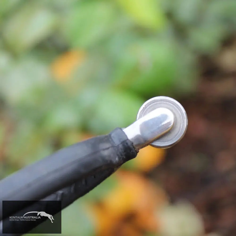 Metalab ’4mm R/Rowel’ Spur L / 20mm Spurs