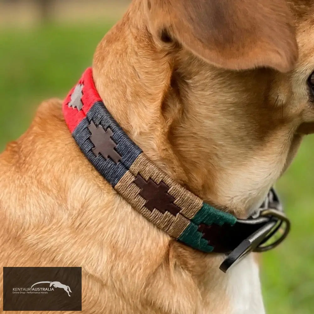 Pampeano ’Navidad’ Dog Collar - Dog Collars