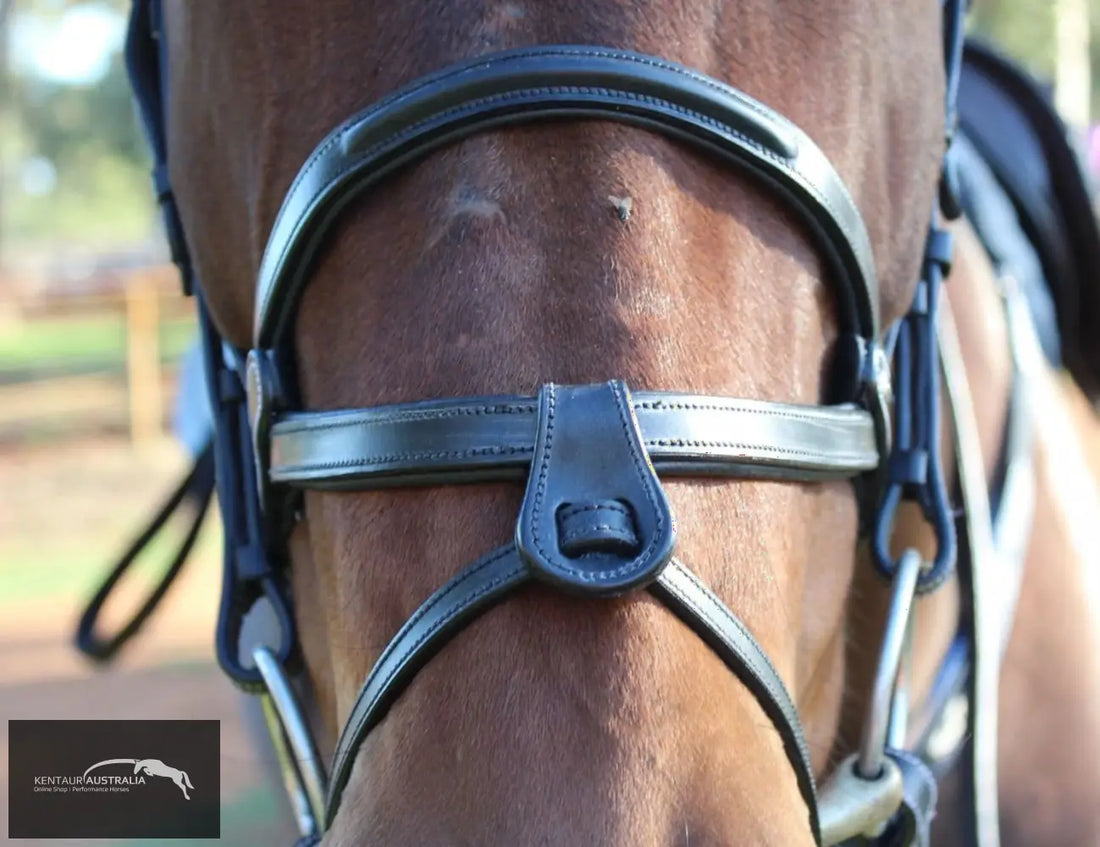 Silver Crown ’Brazilian’ Noseband Bridles