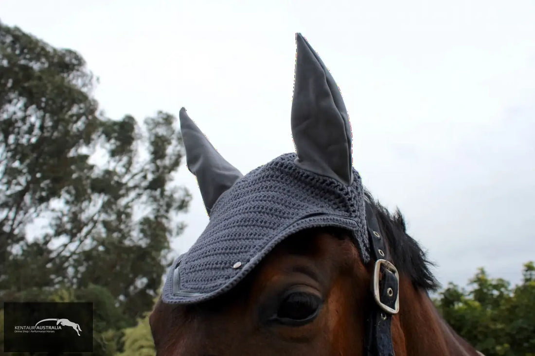 Silver Crown Ear Net Ears