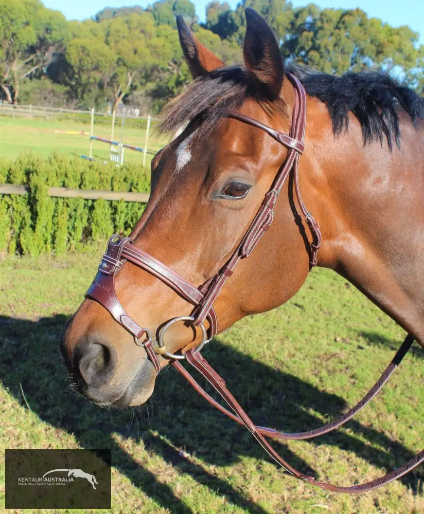 Silver Crown Flash + X Nose Noseband Bridles